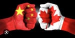 突发|加中再燃贸易战火，油菜籽VS渡轮针锋相对，卡尼多元外交或悬了！