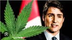 崩了|特鲁多这一政治遗产沦为国际大笑话，加拿大信誉面临挑战，卡尼该如何收场！
