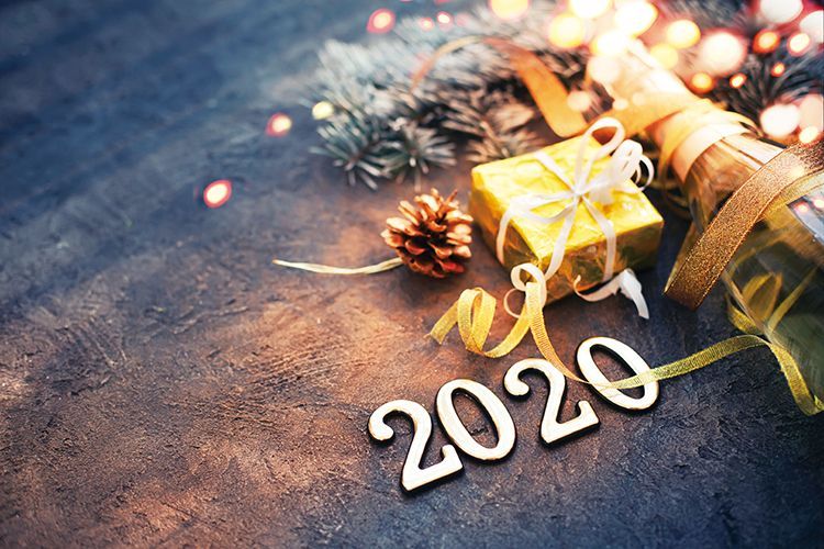 疫年的收获-我的2020独白