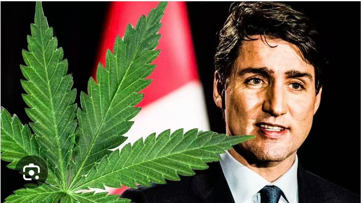 崩了|特鲁多这一政治遗产沦为国际大笑话，加拿大信誉面临挑战，卡尼该如何收场！