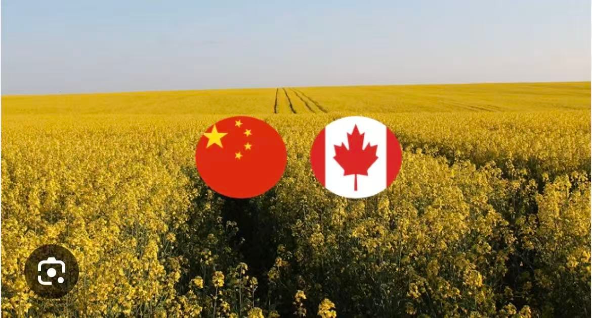 重磅|加拿大总理访华满载而归，加中签署联合声明，多项政策利好民众！