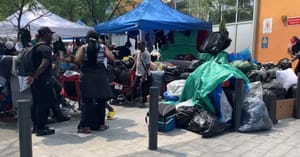加拿大前三个季度人口增长了43万