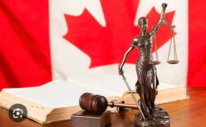 怒了|加拿大人应有自卫权，保守党提案修改刑法，挨打不能还手或将结束！
