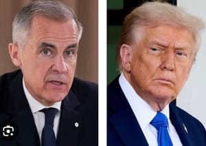 重磅|加美元首证实通话，卡尼主义扛起大旗，这一隐患或成火药桶！