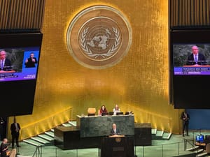 🌟 从温哥华到联合国，一位华裔女性公益领袖的全球之声：做一座桥，把联合国带回社区！