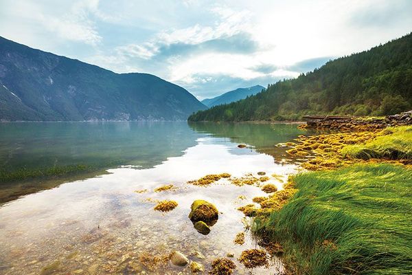 北美房车旅行之大熊雨林(下)-我伸手握住了那道彩虹