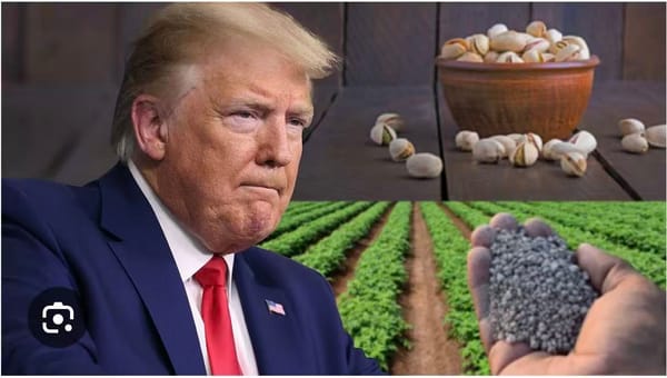 重磅|加美贸易战重大转折，特朗普这一软肋被拿捏，卡尼能否闯出一条新路！